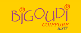 Coiffure Bigoudi Logo